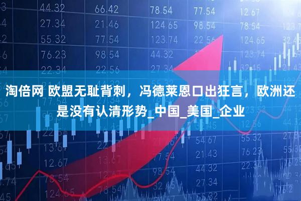 淘倍网 欧盟无耻背刺，冯德莱恩口出狂言，欧洲还是没有认清形势_中国_美国_企业