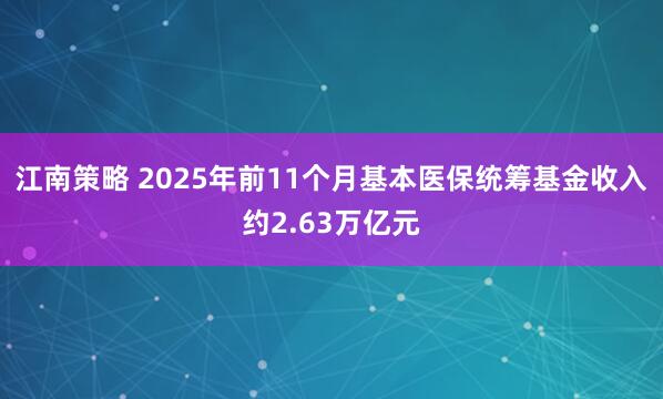 江南策略 2025年前11个月基本医保统筹基金收入约2.63万亿元